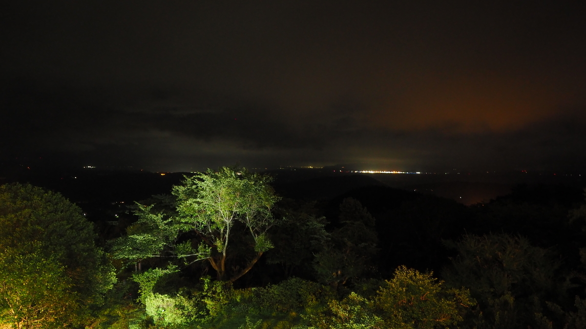 f:id:irukas980:20201028000345j:plain f:id:irukas980:20201028000345j:plain