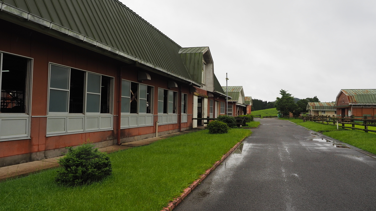 f:id:irukas980:20201028001213j:plain f:id:irukas980:20201028001213j:plain