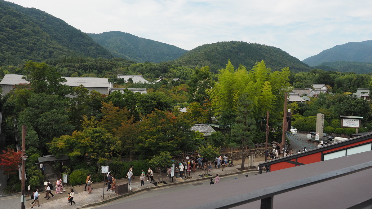 f:id:irukas980:20210105013346j:plain