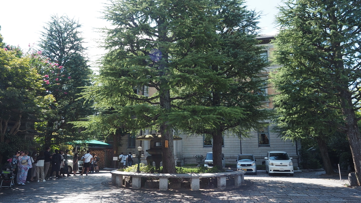 f:id:irukas980:20210105232811j:plain