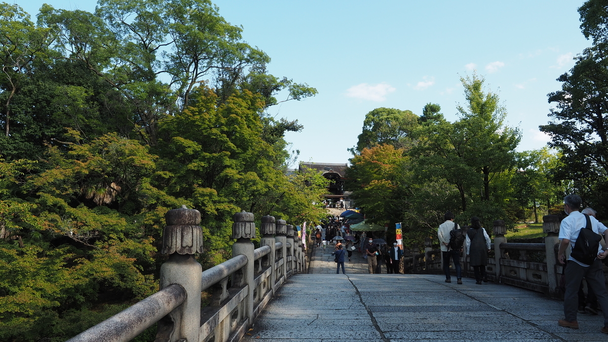 f:id:irukas980:20210105233533j:plain