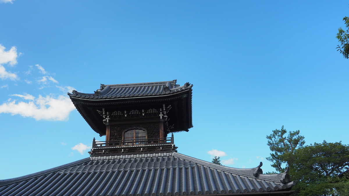 f:id:irukas980:20210105233623j:plain