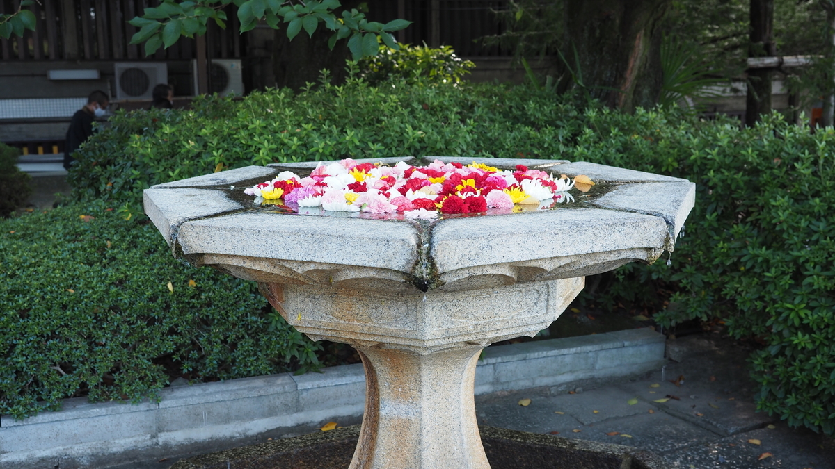 f:id:irukas980:20210105233734j:plain