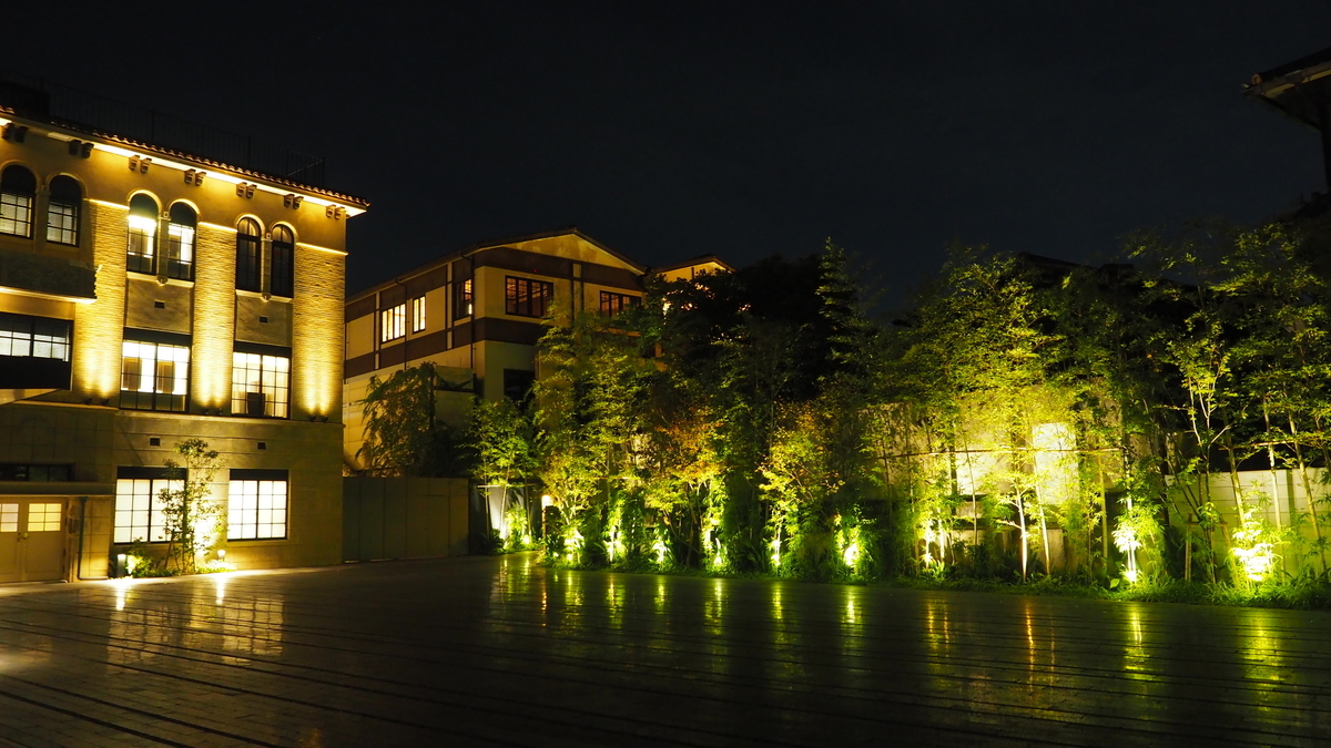 f:id:irukas980:20210116082051j:plain