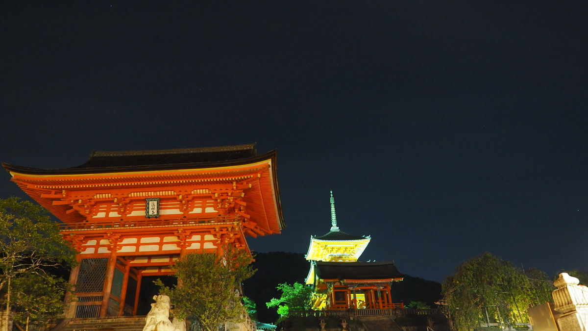 f:id:irukas980:20210116082453j:plain