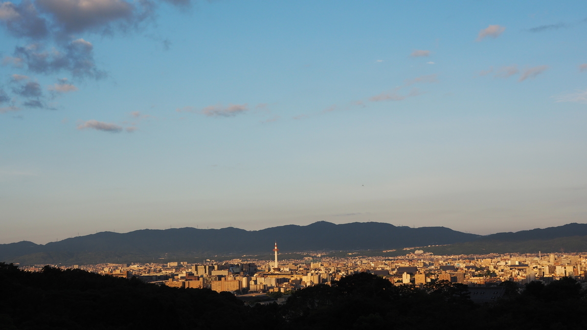 f:id:irukas980:20210116083501j:plain