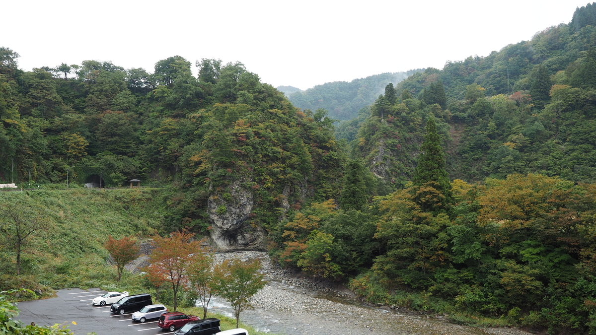 f:id:irukas980:20210116185843j:plain