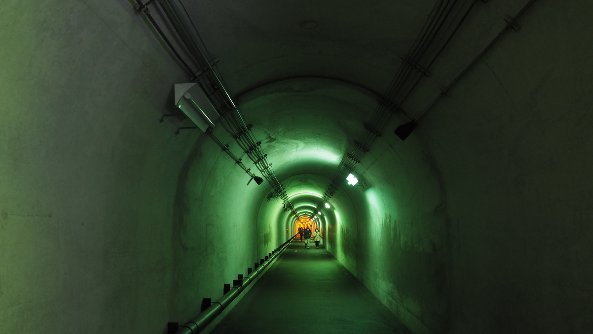 f:id:irukas980:20210116190017j:plain