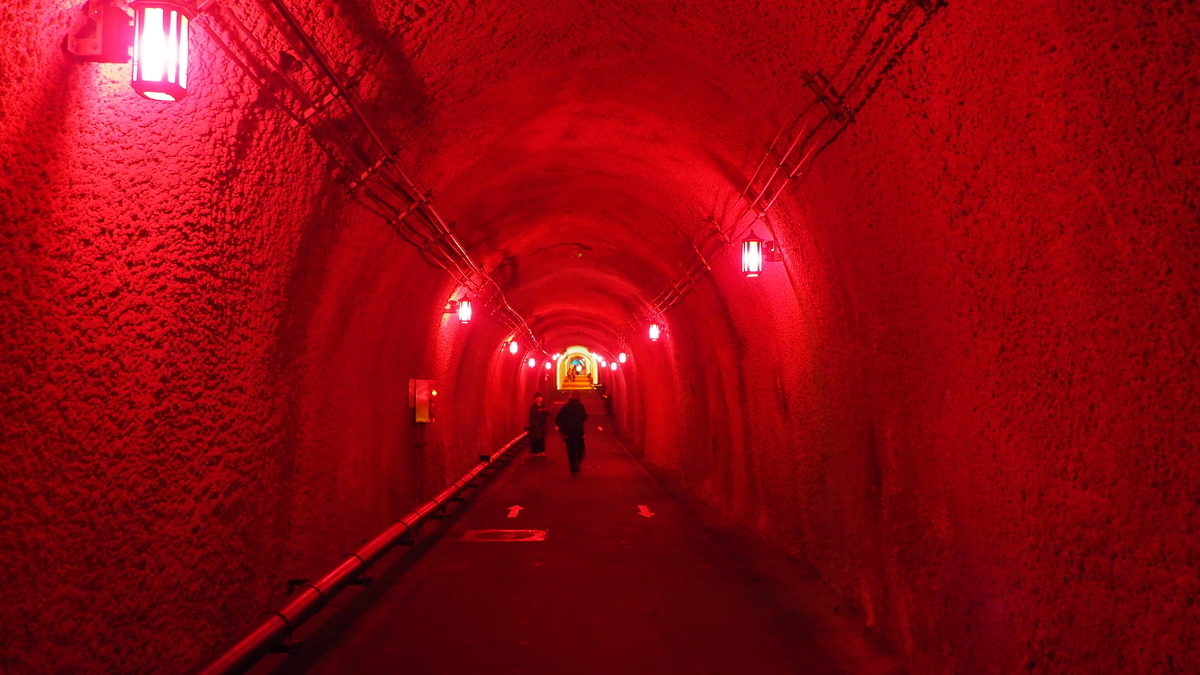 f:id:irukas980:20210116190045j:plain