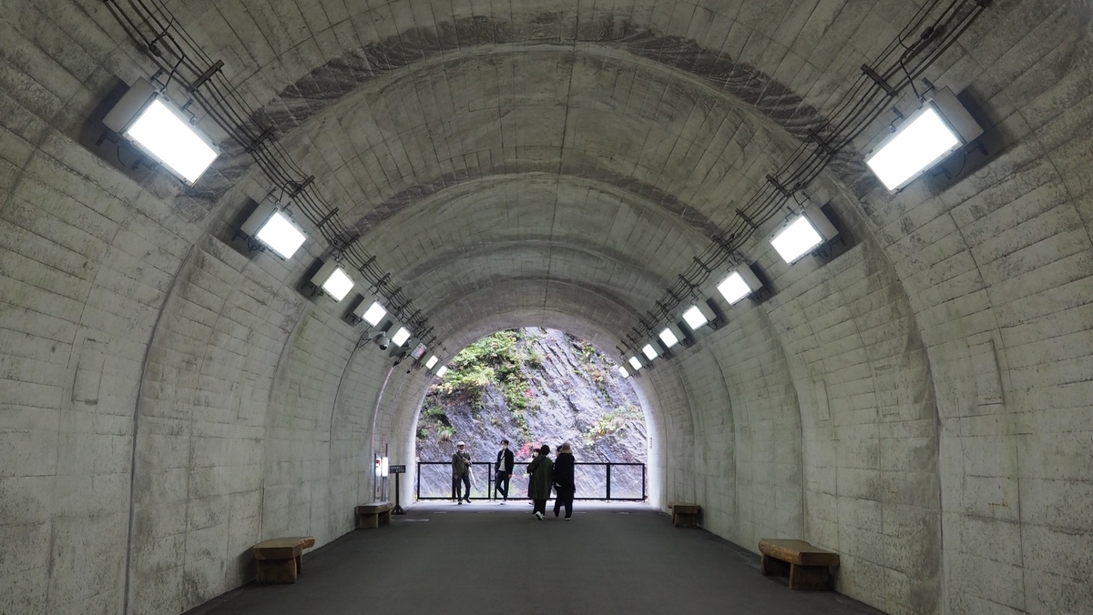 f:id:irukas980:20210116190146j:plain