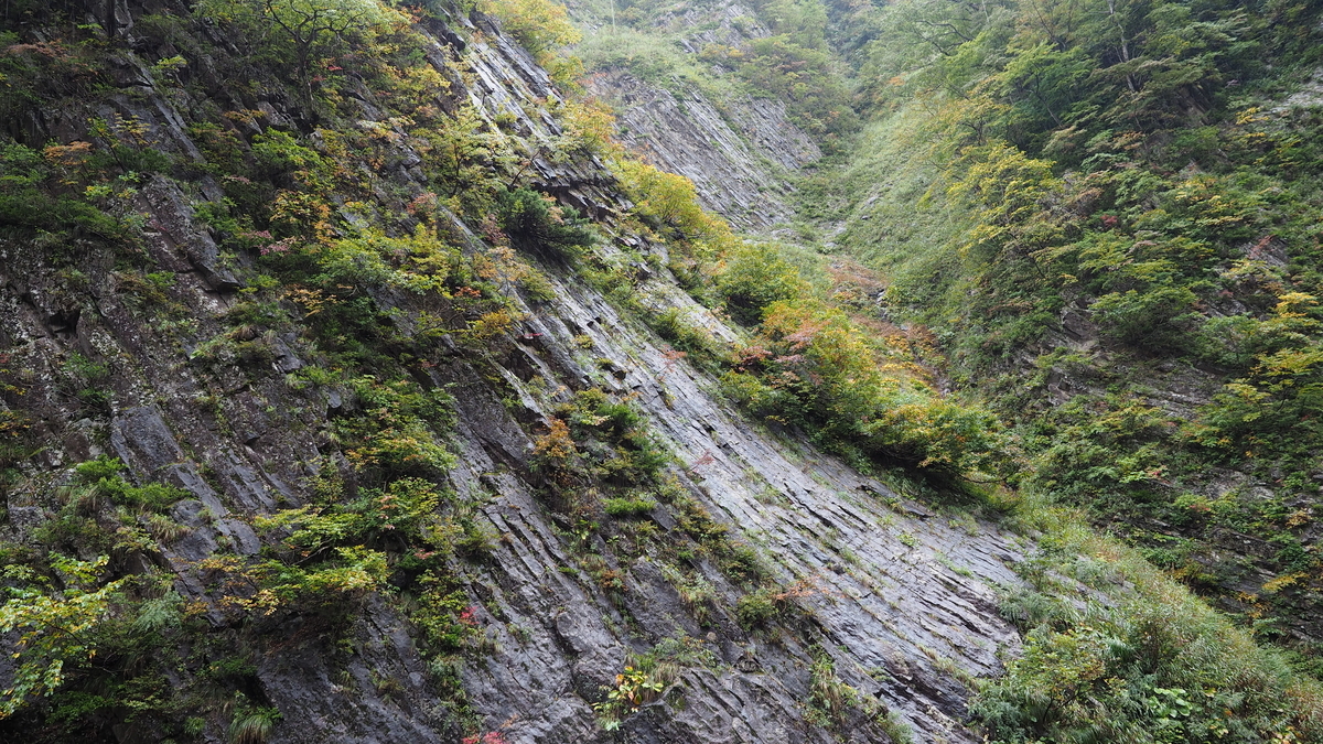 f:id:irukas980:20210116190215j:plain