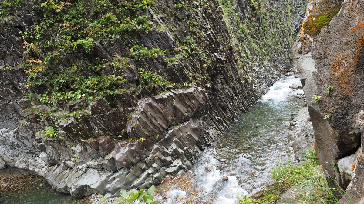 f:id:irukas980:20210116190234j:plain