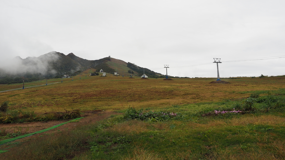 f:id:irukas980:20210116190447j:plain