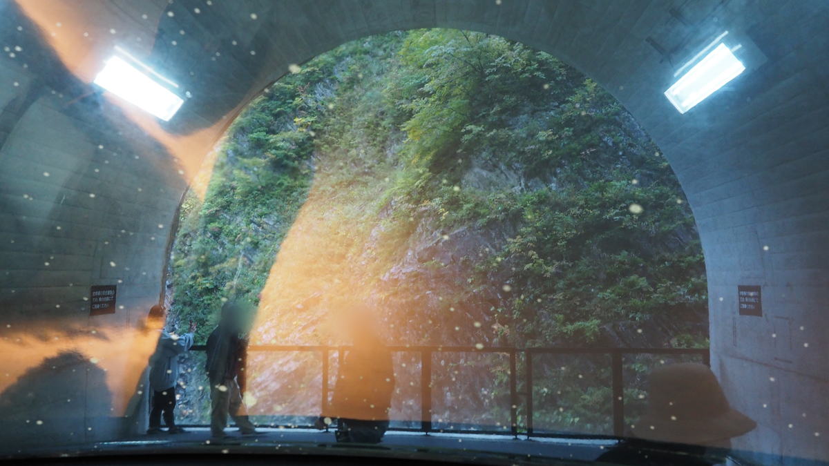 f:id:irukas980:20210122100749j:plain