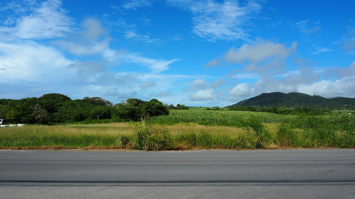 f:id:irukas980:20210313232005j:plain