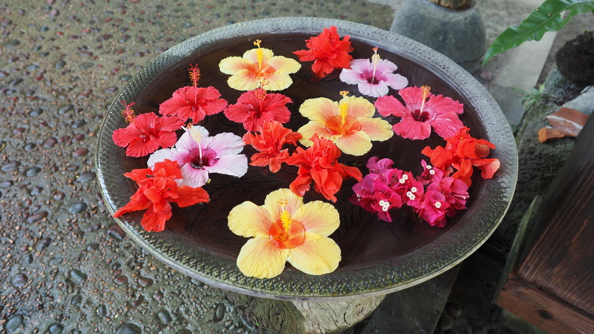 f:id:irukas980:20210313232117j:plain