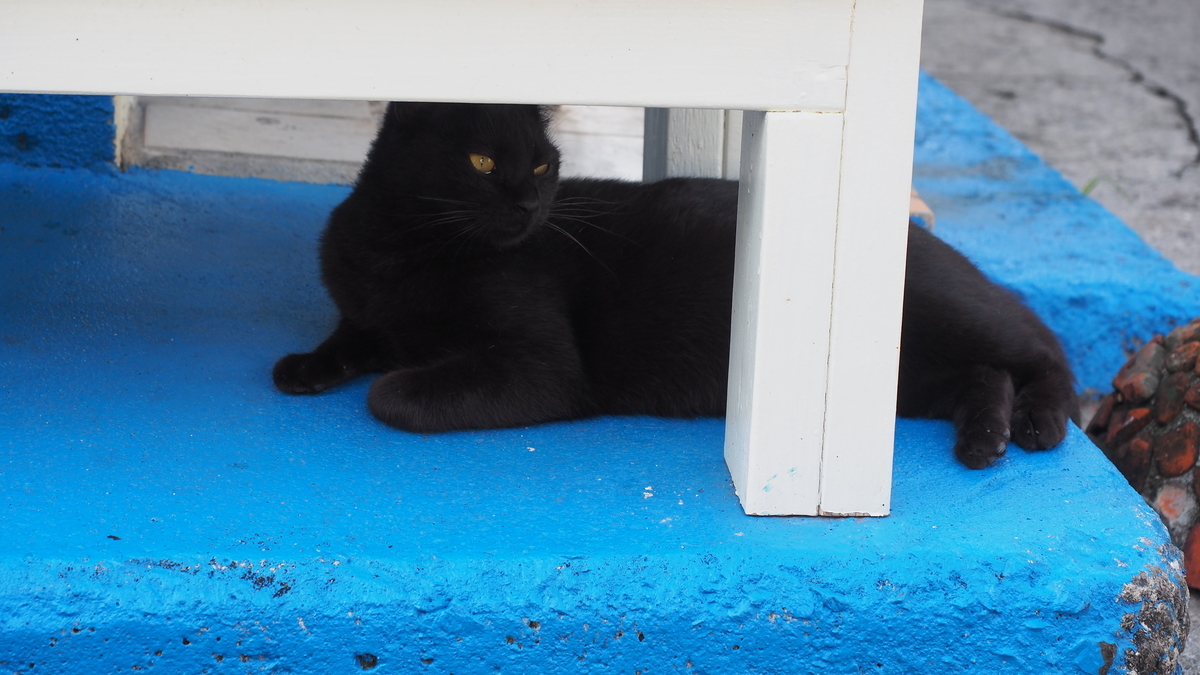 f:id:irukas980:20210313233314j:plain