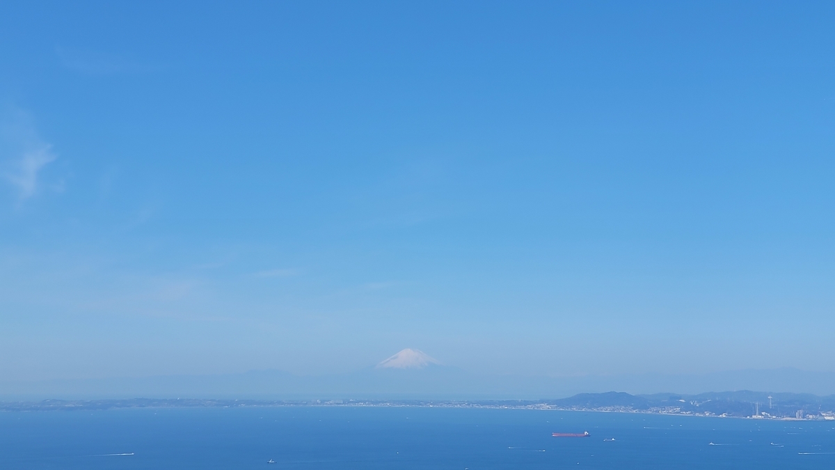 f:id:irukas980:20210516224412j:plain