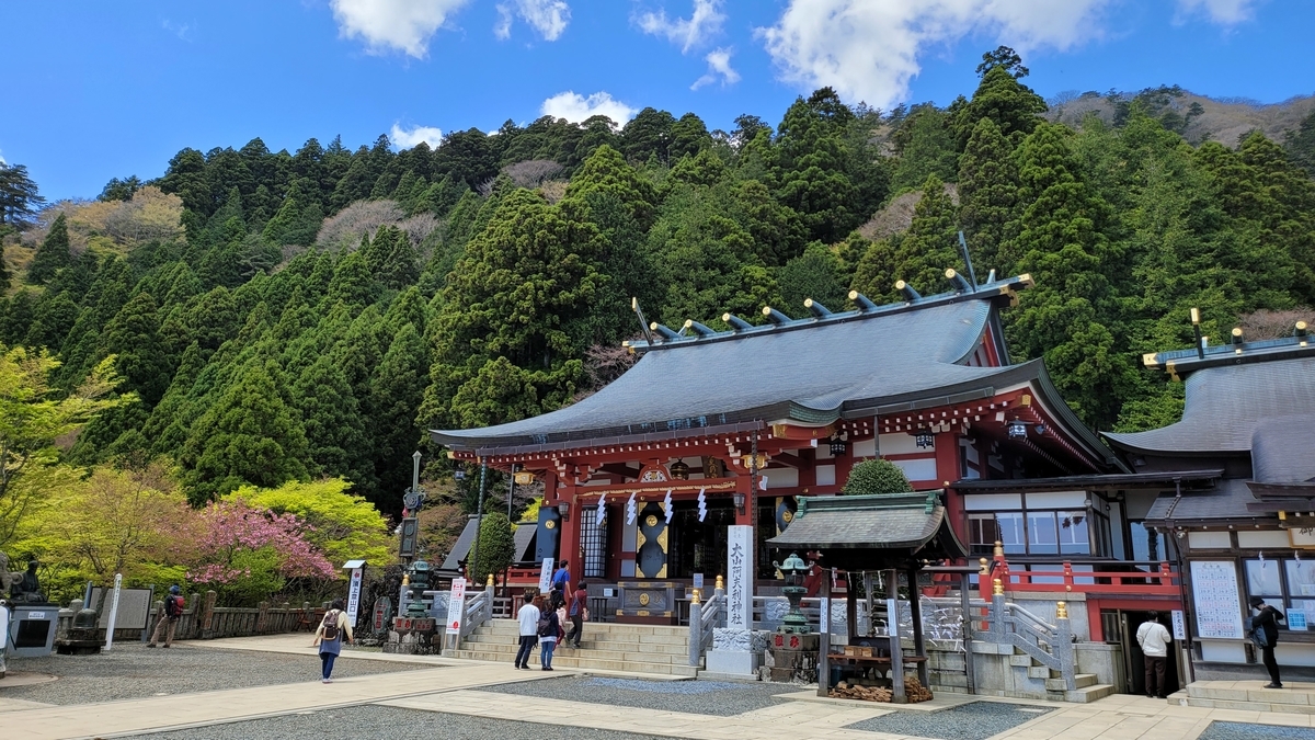 f:id:irukas980:20210531010957j:plain