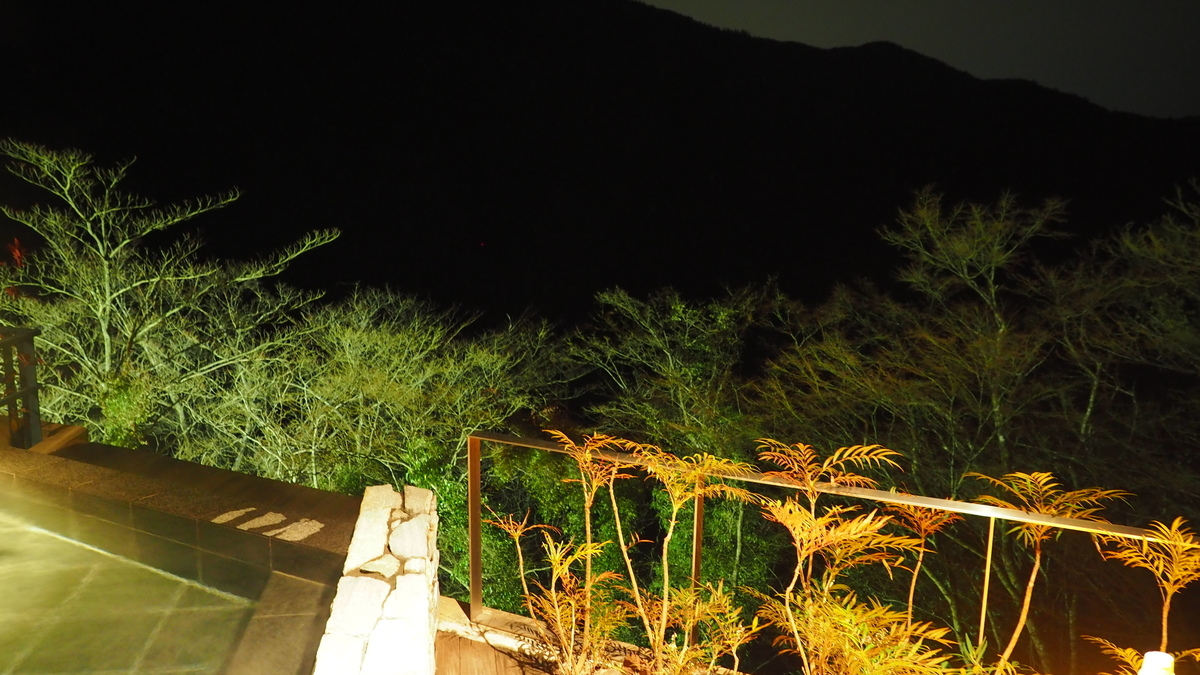 f:id:irukas980:20210704010121j:plain