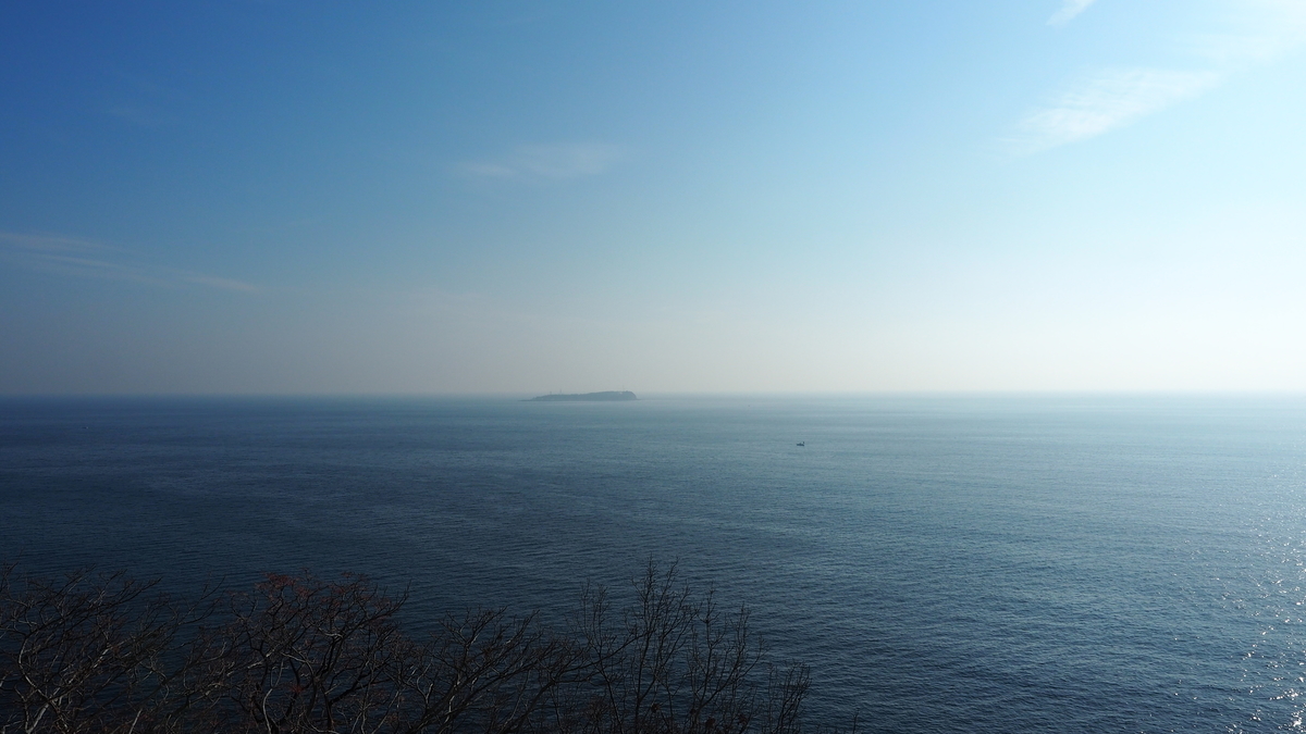 f:id:irukas980:20210704013235j:plain