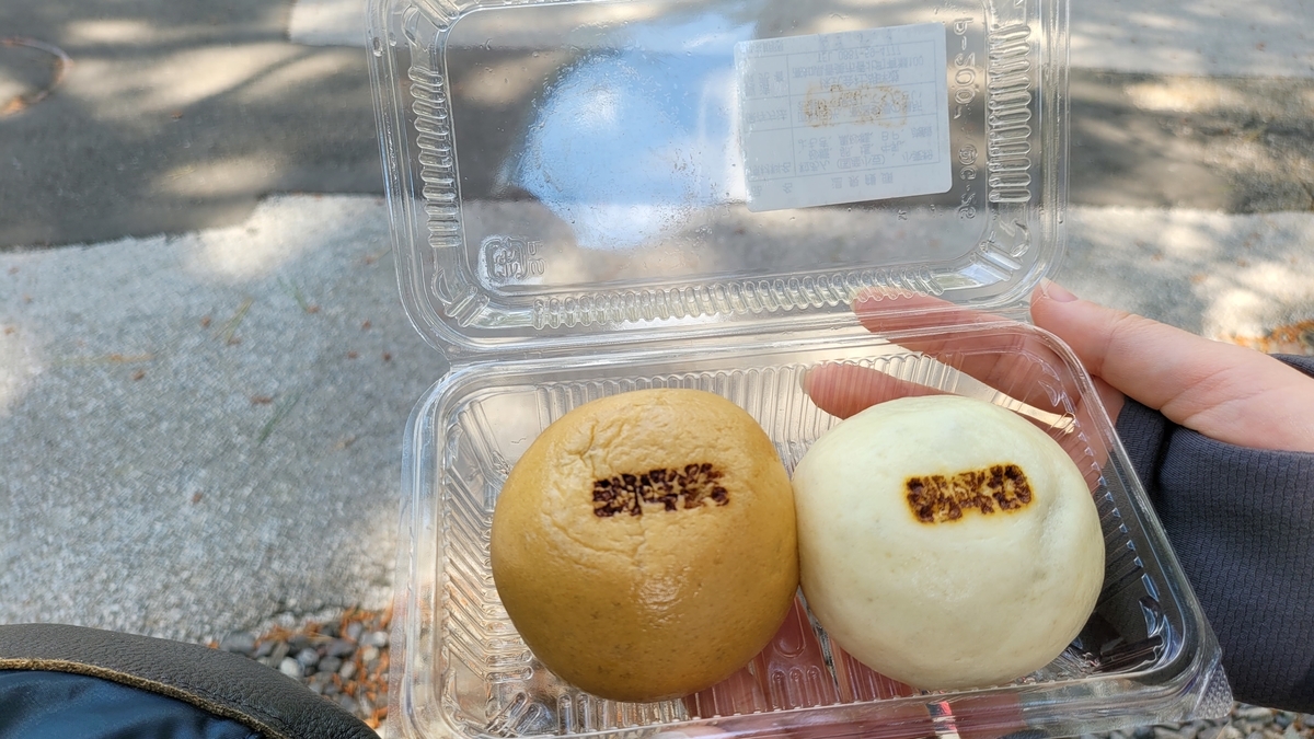 f:id:irukas980:20210809174143j:plain