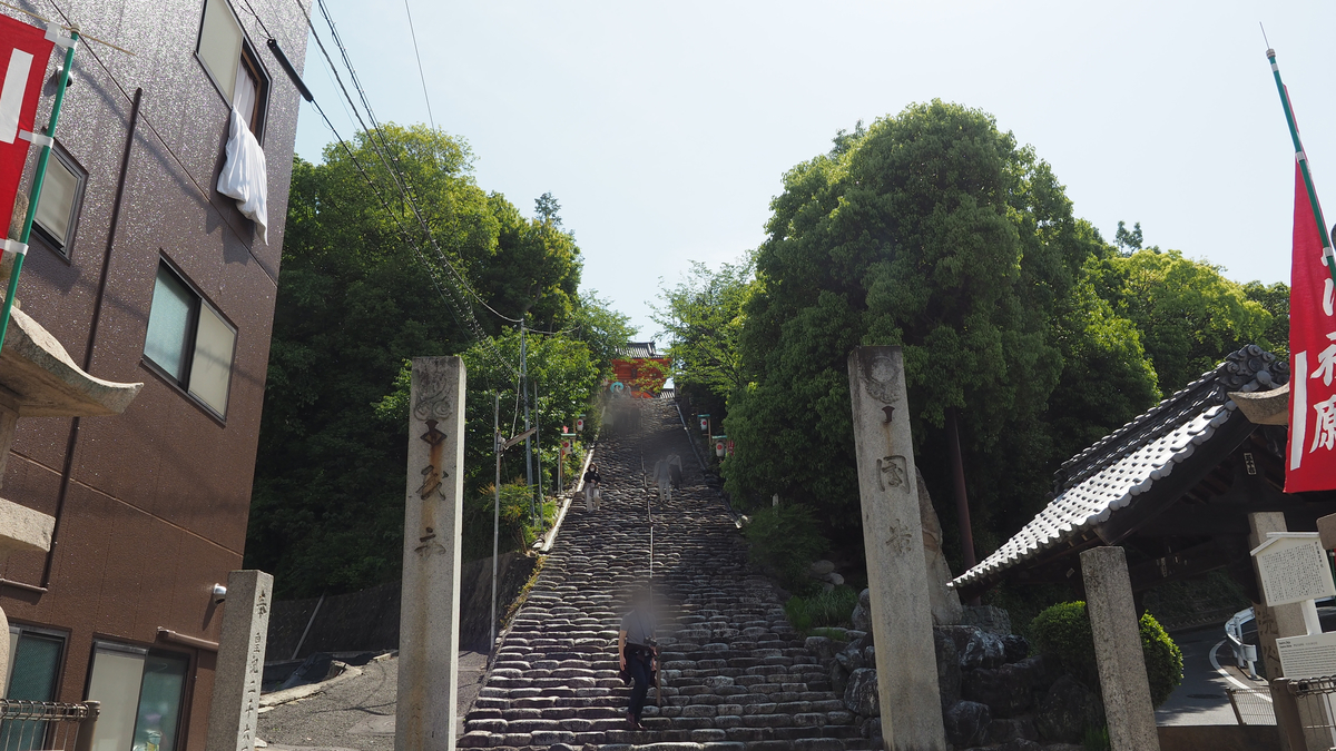 f:id:irukas980:20210814122039j:plain