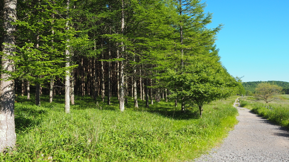 f:id:irukas980:20210905085139j:plain