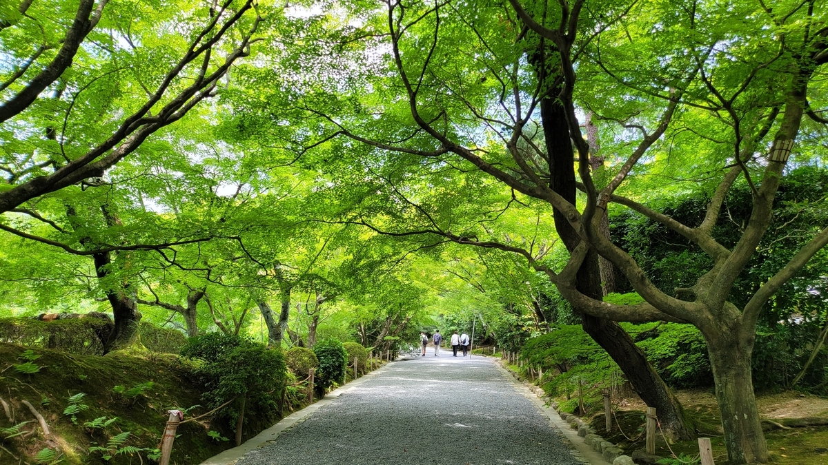 f:id:irukas980:20211128111624j:plain