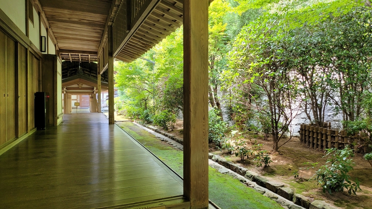f:id:irukas980:20211128111749j:plain