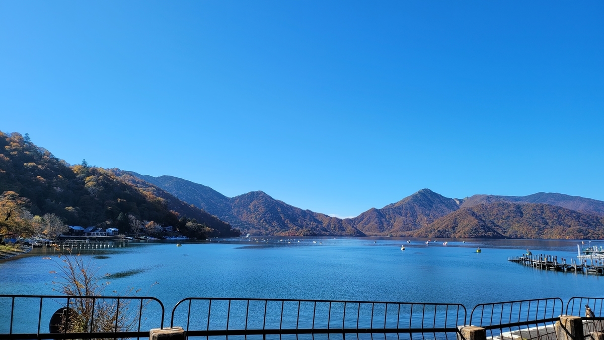 f:id:irukas980:20211213002418j:plain