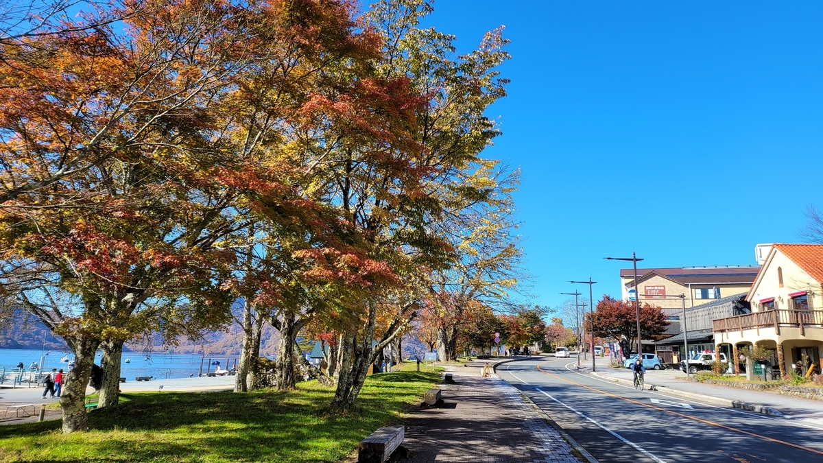 f:id:irukas980:20211213002428j:plain