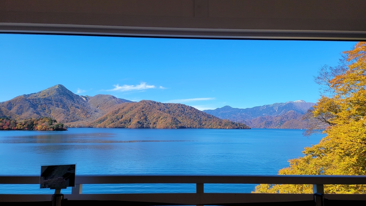 f:id:irukas980:20211213003533j:plain