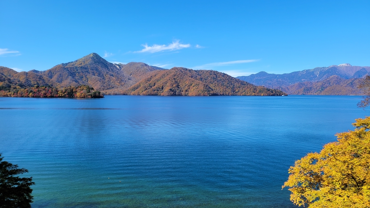 f:id:irukas980:20211213003622j:plain