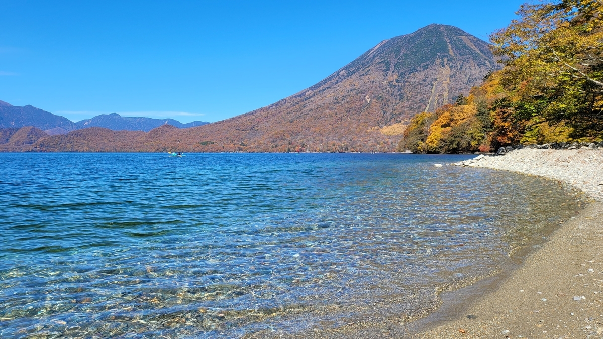 f:id:irukas980:20211213004650j:plain