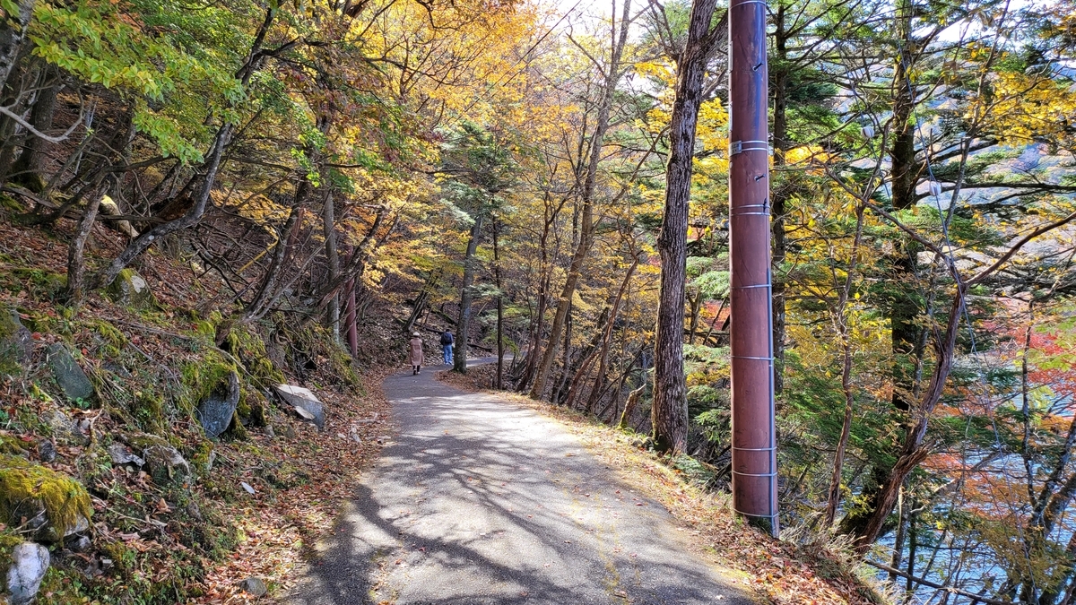 f:id:irukas980:20211213004737j:plain