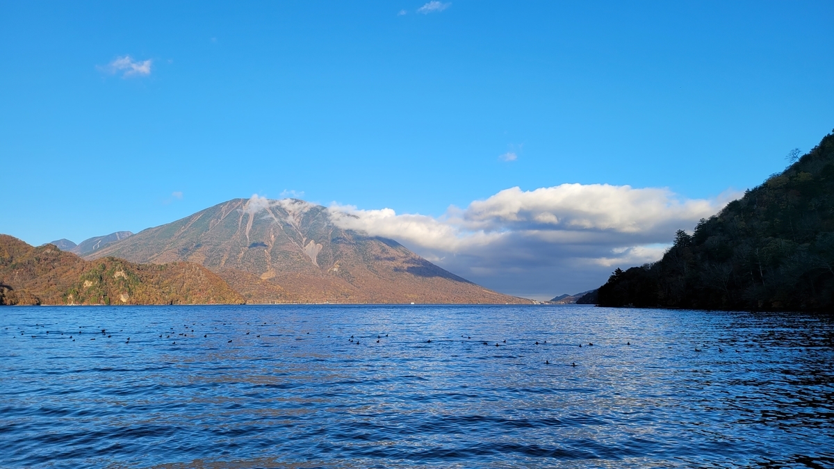 f:id:irukas980:20211213004841j:plain