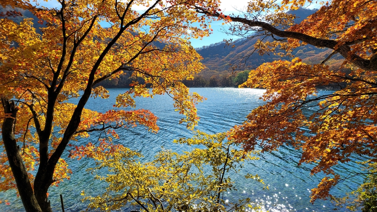 f:id:irukas980:20211213004954j:plain