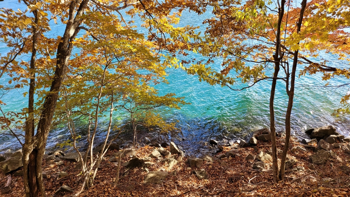 f:id:irukas980:20211213005054j:plain