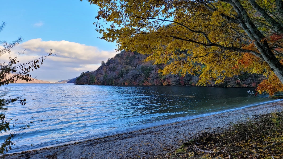 f:id:irukas980:20211213005144j:plain