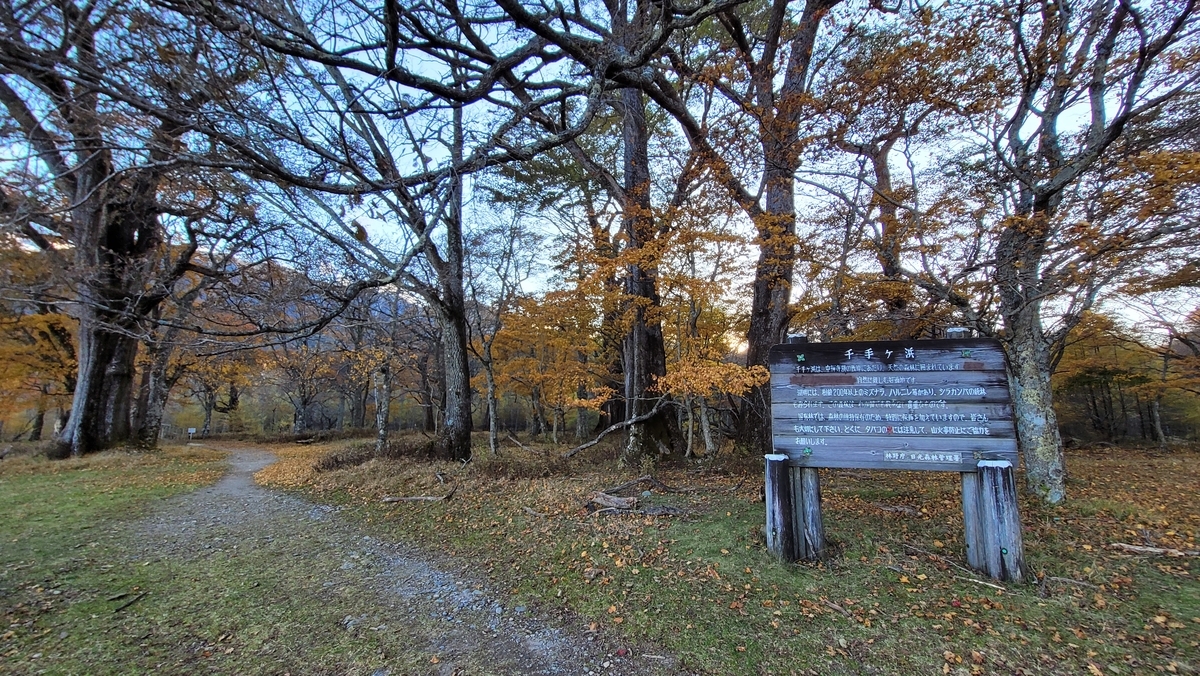 f:id:irukas980:20211213005235j:plain