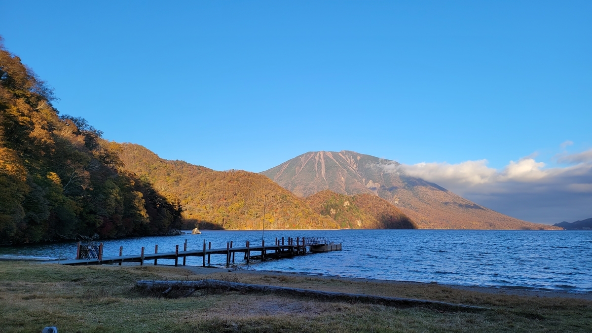 f:id:irukas980:20211213005302j:plain