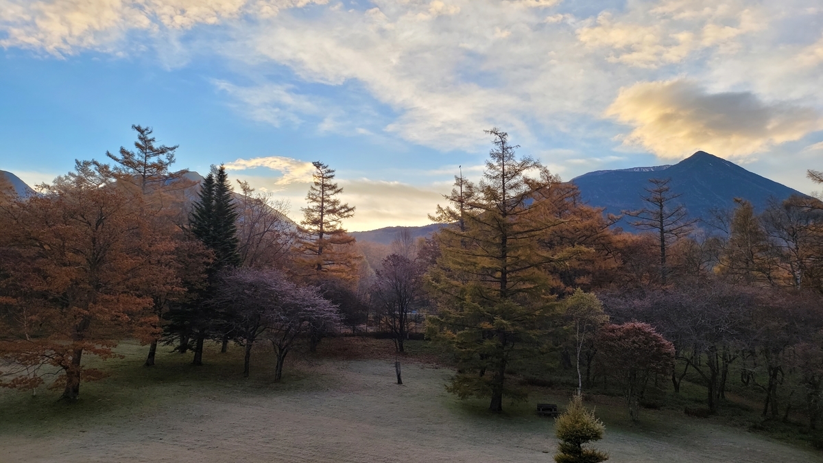 f:id:irukas980:20211213010028j:plain