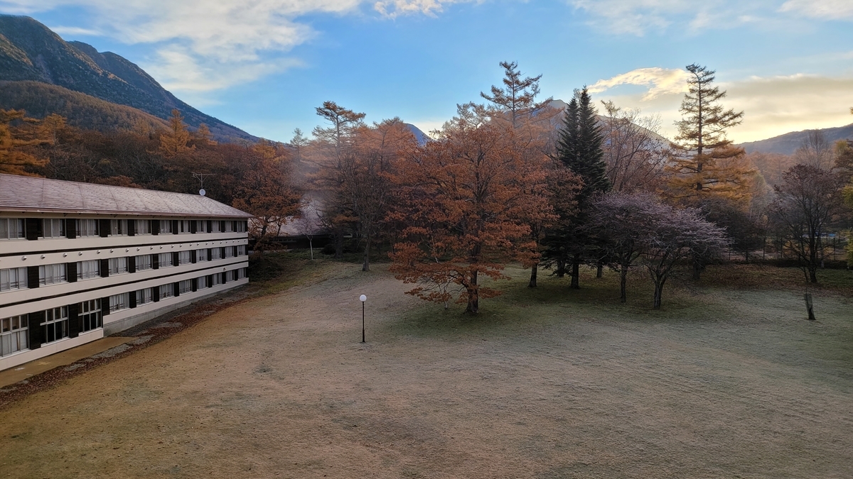 f:id:irukas980:20211213010053j:plain