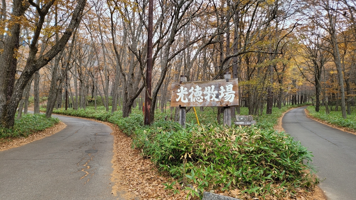 f:id:irukas980:20211213010229j:plain