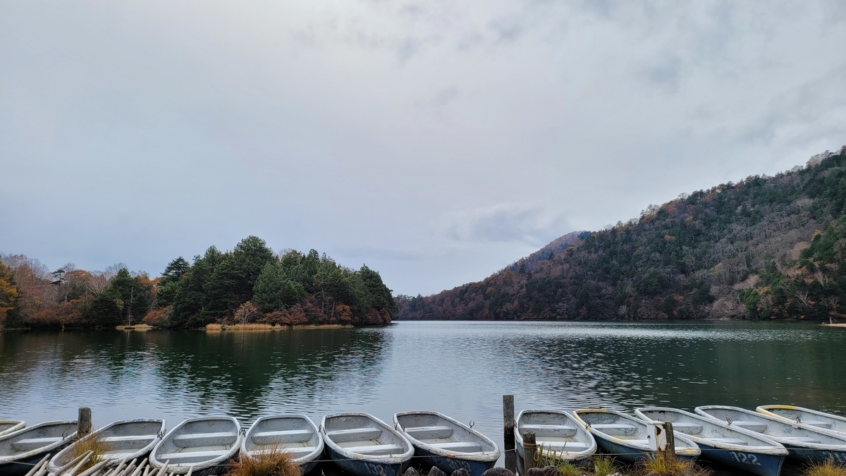 f:id:irukas980:20211213010332j:plain