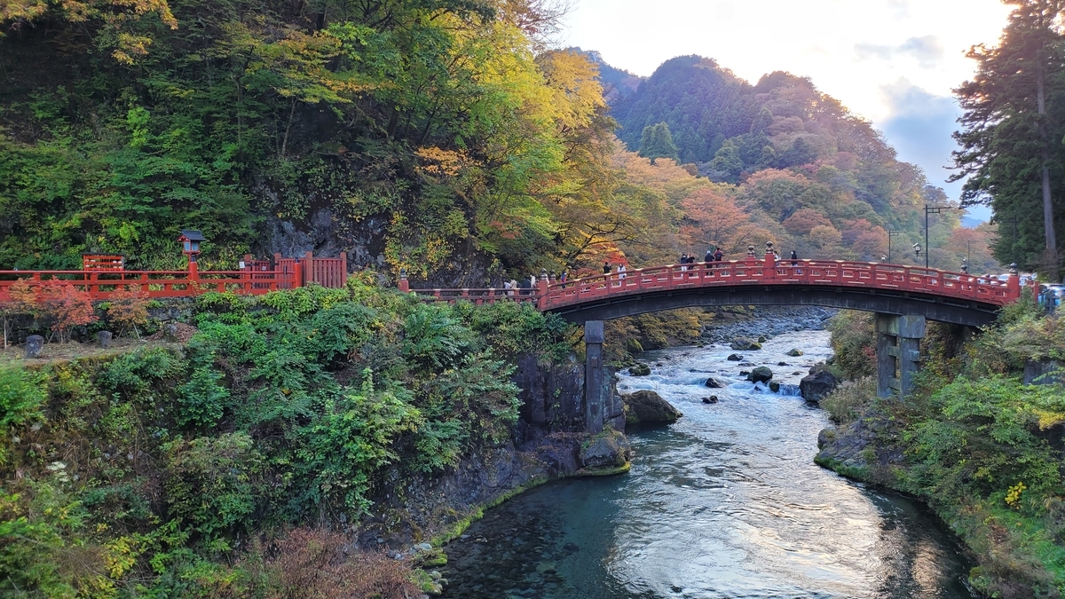 f:id:irukas980:20211214233311j:plain