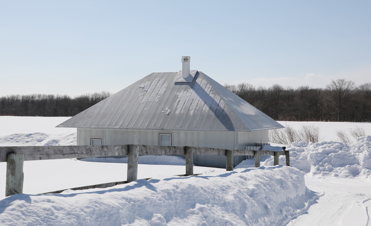 f:id:irukas980:20220108013752j:plain