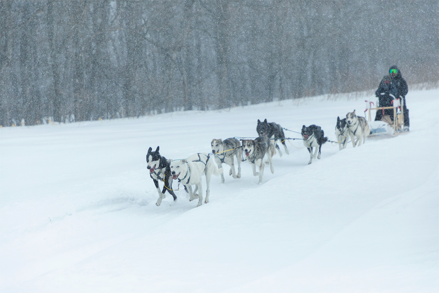 f:id:irukas980:20220108013820j:plain