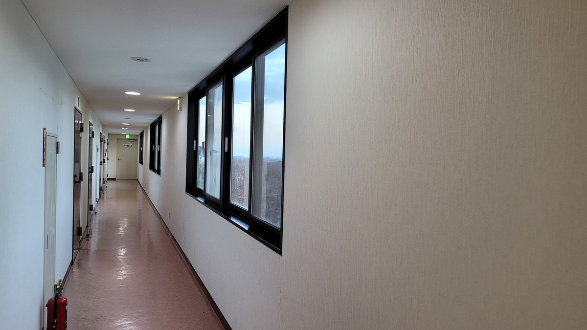 f:id:irukas980:20220110092308j:plain